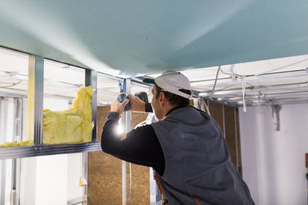 Best Insulation Air Sealing  in Governors Clu, NC