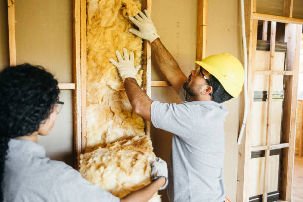 Types of Insulation We Offer in Governors Clu, NC